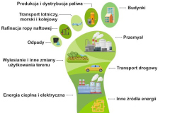 slad_weglowy_bcu_spedycja-4